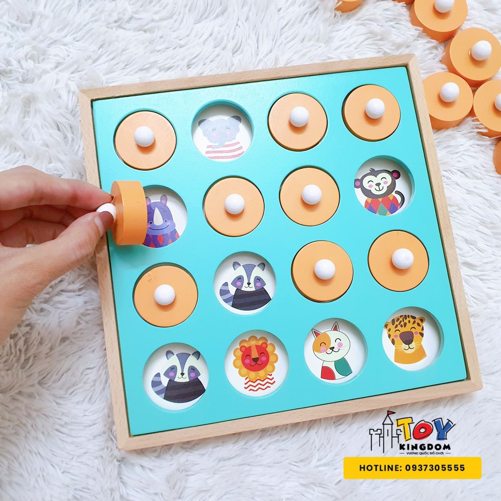 Luyện trí nhớ gỗ bích 12 chủ đề