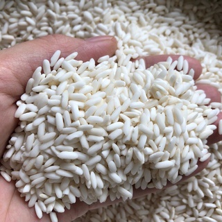 Gạo nếp lào hạt dài 500g-1kg