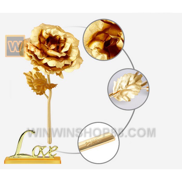 Hoa hồng mạ vàng 24K có đế bông màu vàng - winz.vn