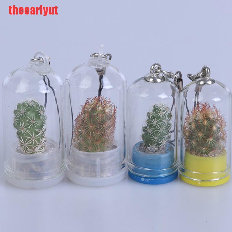 Chai Rỗng Terrarium Thu Nhỏ Trồng Xương Rồng Mọng Nước Có Thể Đeo Được Trang Trí Như Vòng Cổ