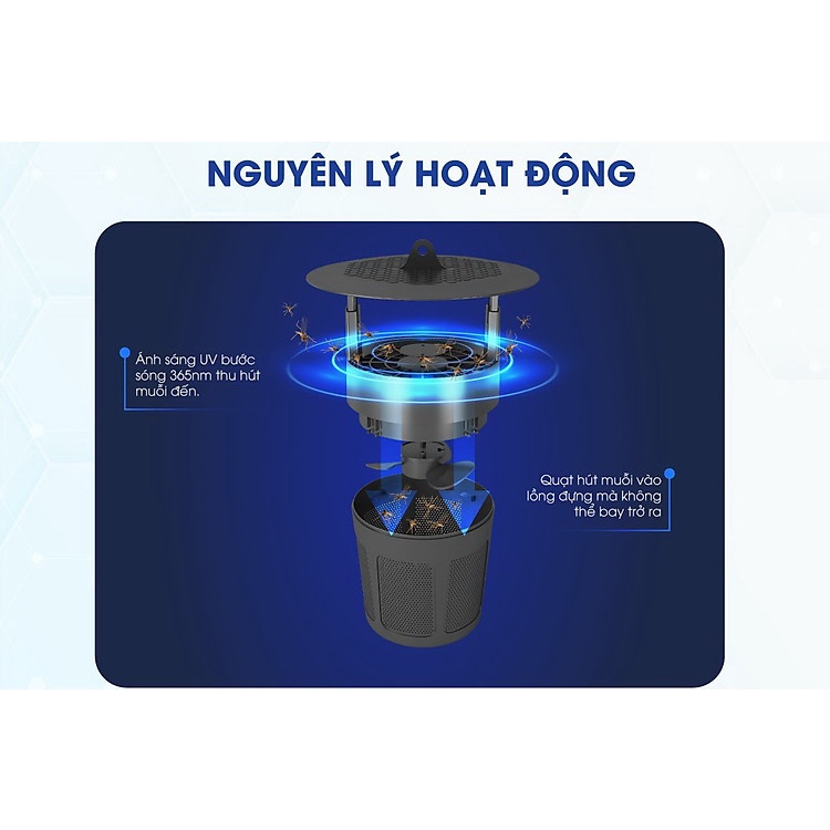 Đèn bắt muỗi Rạng Đông DBM01 5W
