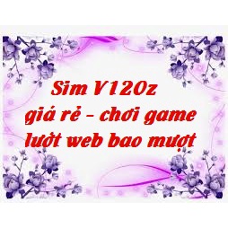 Sim V120z Thoải Mái Chơi Game Lướt Web