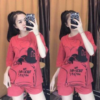 Bộ chuột micki