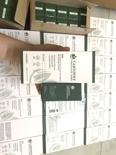 Sản Phẩm Caryophy Portulaca Toner  + Serum Caryophy Portulaca Ampoule