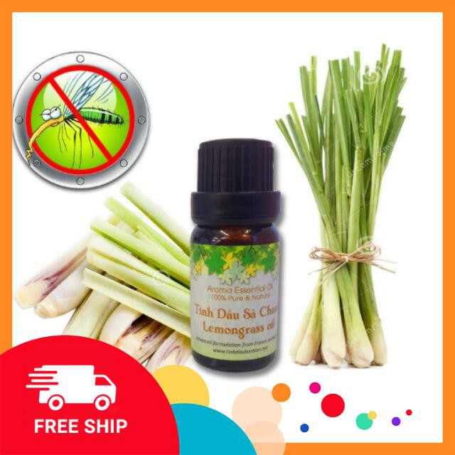 Tinh dầu nguyên chất 10ml