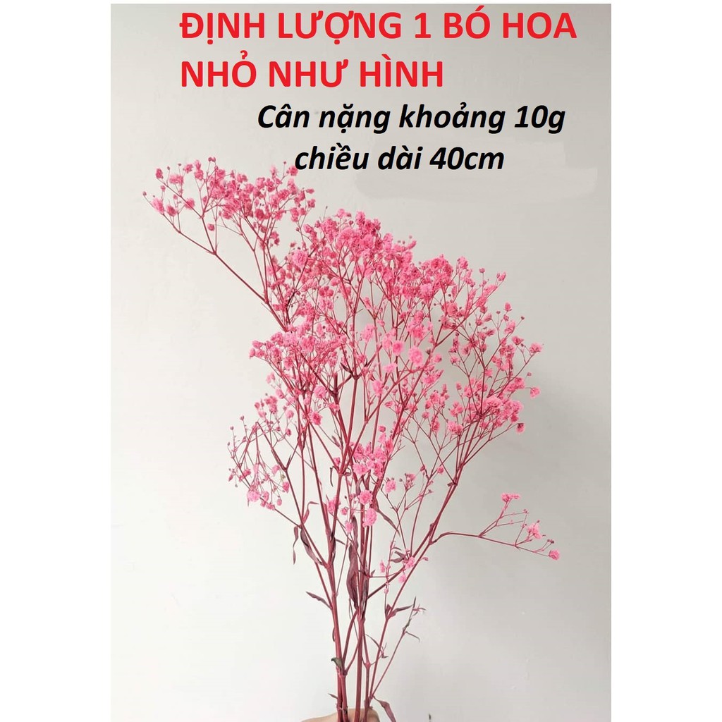 Hoa khô Baby ướp màu trang trí phòng - Hoa Baby Gysophila sấy khô ướp màu decor bó 10g