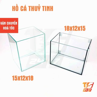 Hồ Cá Thủy Tinh 18x12x15cm - Bể Thủy Sinh Mini Để Bàn