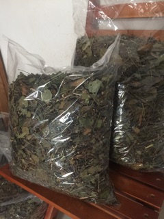 Chè vằng nghệ an