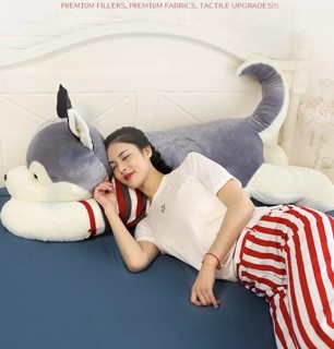 (Order) Thú bông / Gấu bông / Chó bông Husky size bự (từ 1.2m kèm ảnh thật)