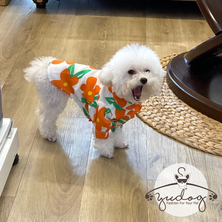 Sơ mi cho chó mèo - Sơ mi hoa cổ bèo cho chó mèo yudog