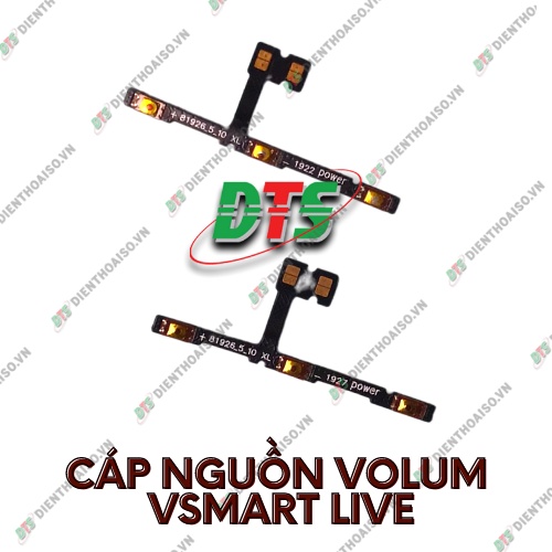 Dây phím bấm lớn nhỏ dành cho vsmart live