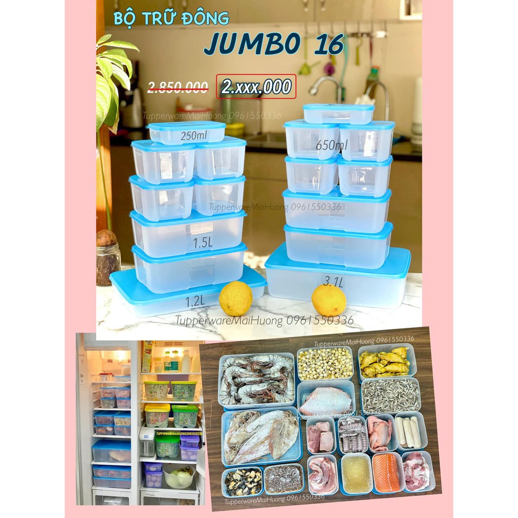 Tupperware ❤️ Freeship❤️ Bộ hộp bảo quản trữ đông Freezermate