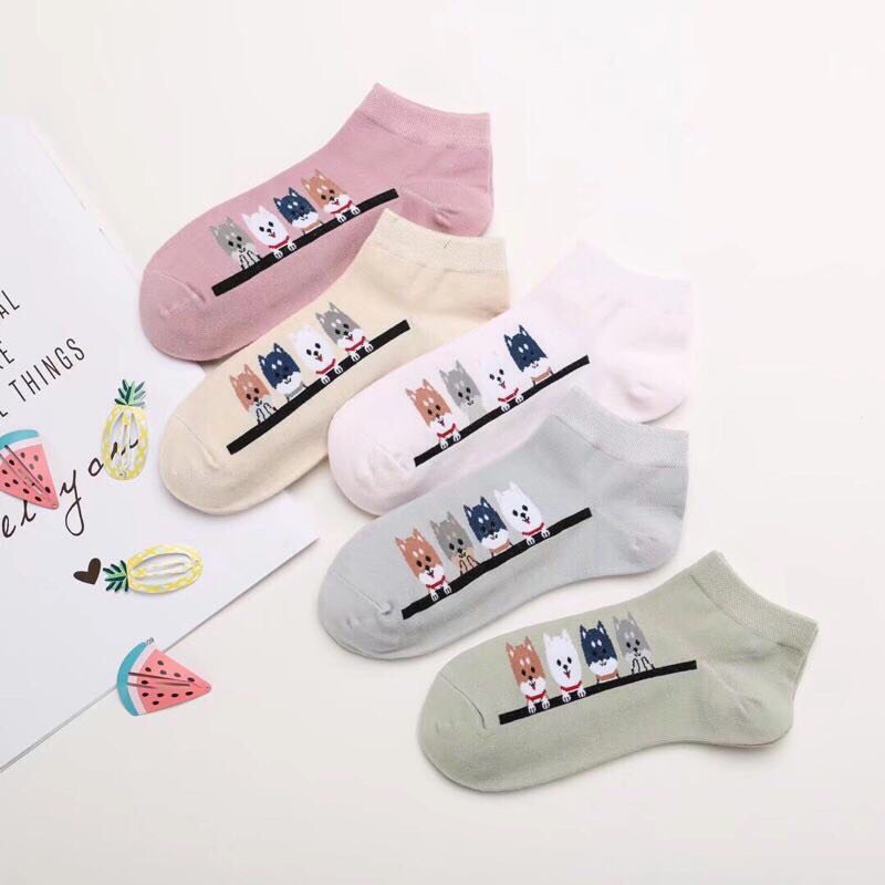 ( Anannshop ) TẤT COTTON DỄ THƯƠNG ( Mẫu ngẫu nhiên )