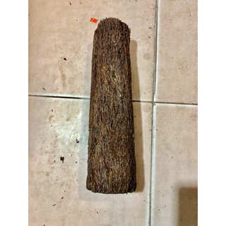 DỚN TRỤ TRỒNG LAN NHẬP KHẨU.