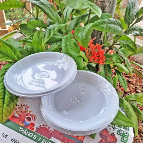 Phụ Kiện Trang Trí Bánh Sinh Nhật Bánh Kem - 1000 đĩa nhựa ăn bánh sinh nhật