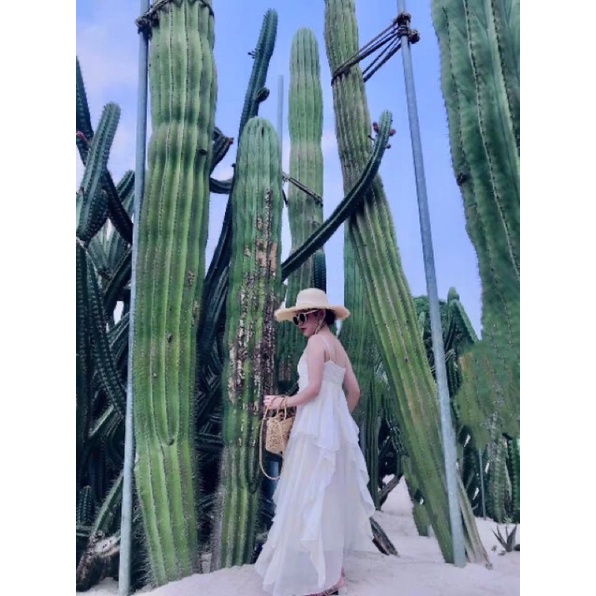 Đầm hai dây maxi công chúa phong cách pháp