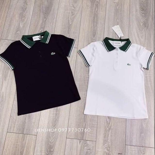 Áo phông xuất khẩu cao cấp