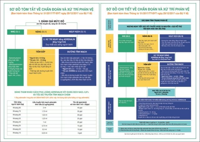 Phác Đồ Sơ Cứu Cấp Cứu - Chống Sốc Phản vệ