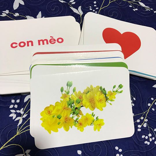 Bộ thẻ flashcard TOMCITY 100 thẻ về thế giới xung quanh giáo dục sớm cho trẻ