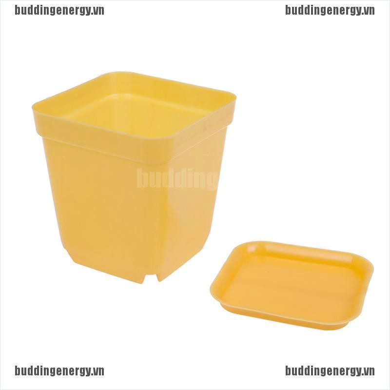 Bộ 10 Chậu Hoa Nhựa Thiết Kế Độc Đáo