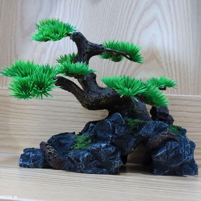 Cây cổ thụ Size 19x15 cm cho bể cá cảnh bơi tung tăng tiểu cảnh Chùa non nước