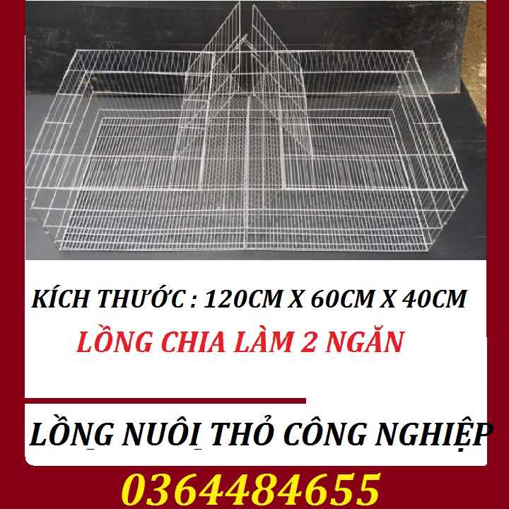 Combo 2 lồng thỏ sinh sản - Lồng thỏ công nghiệp 2 ô có máng cỏ