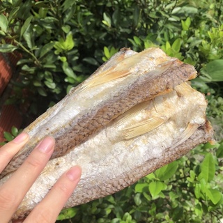 cá mối khô mặn 1kg loại 1