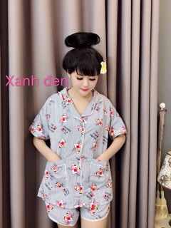 ĐỒ BỘ KATE QUẦN SHORT CỔ PYJAMAR