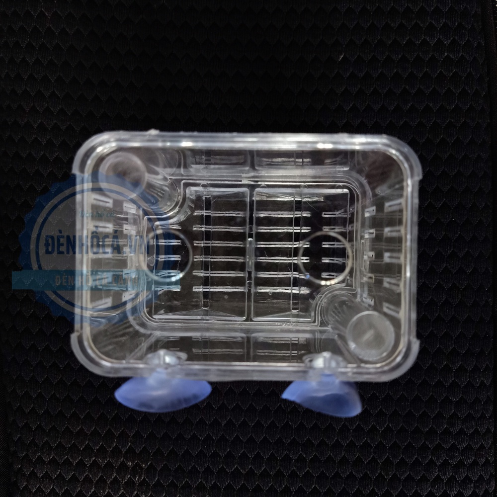 Lồng đẻ cho cá cảnh bằng mica