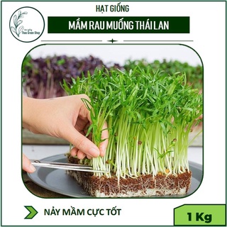 1 Kg Hạt Giống Rau Mầm Rau Muống Thái Lan