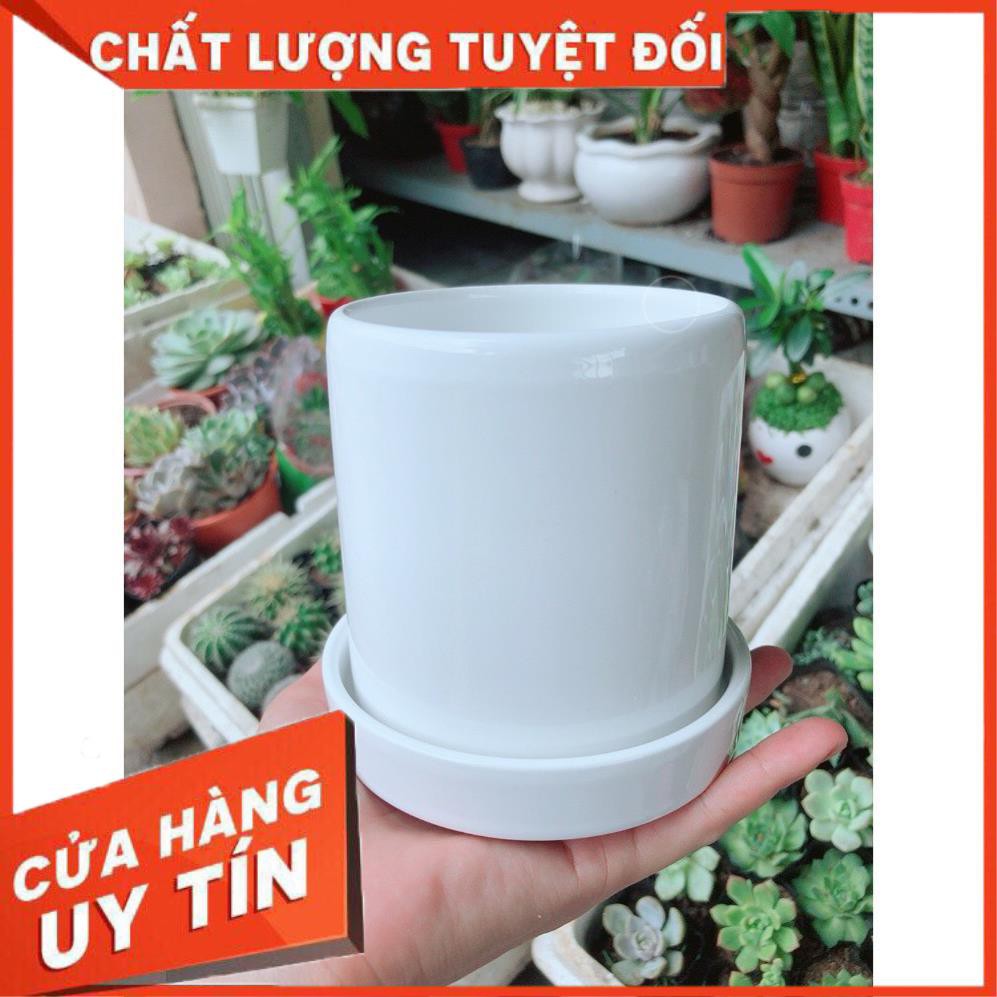 Chậu kiểu tráng men cao cấp kèm dĩa lót