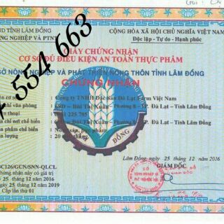 DỪA NON SỮA BẾN TRE DẺO ĐƯỜNG PHÈN