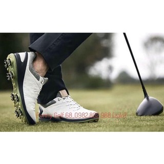 Giày golf ecco chính hãng đế đinh