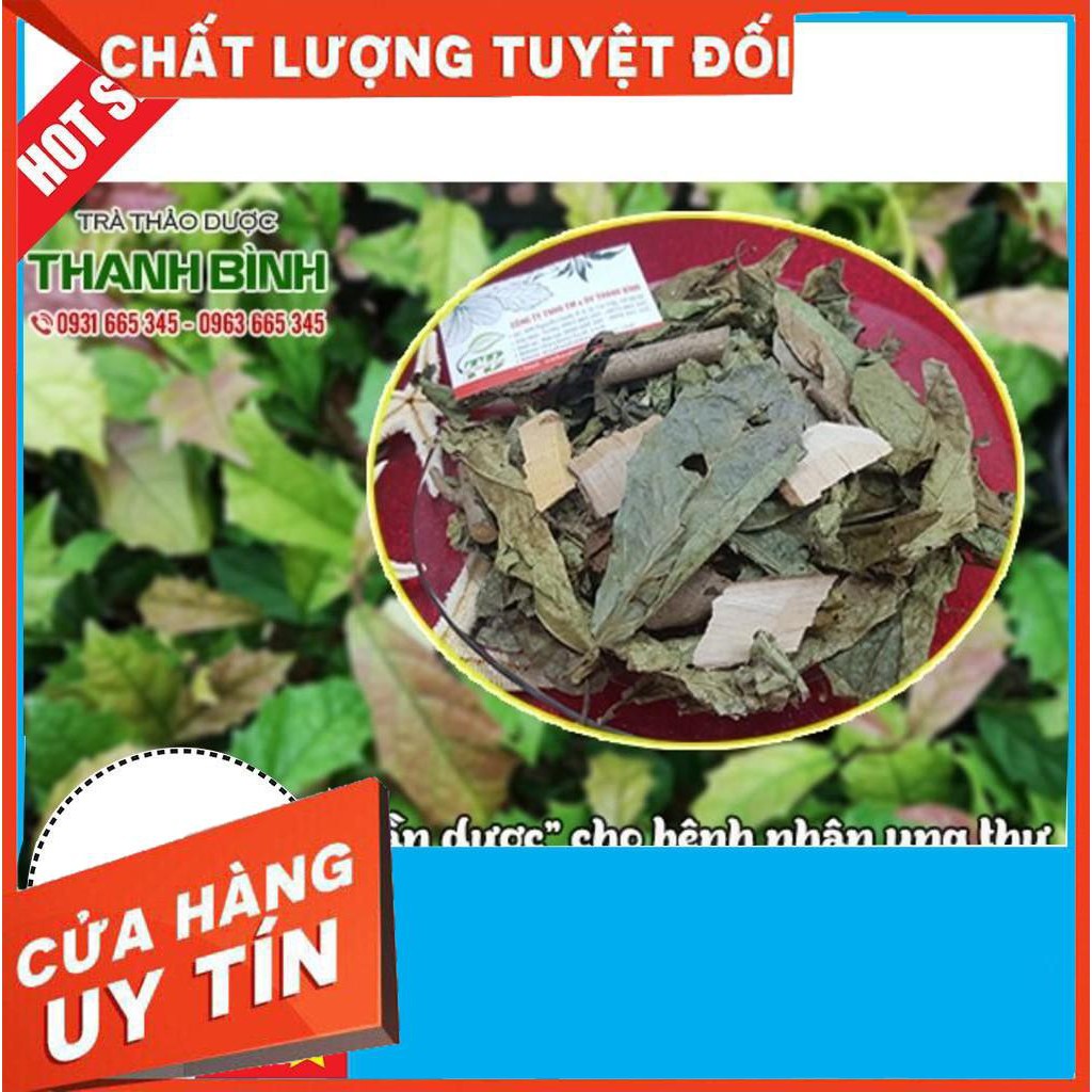 Cây Xạ Đen Khô 1Kg - Chính Gốc Hoà Bình - Lương Y Thanh Bình