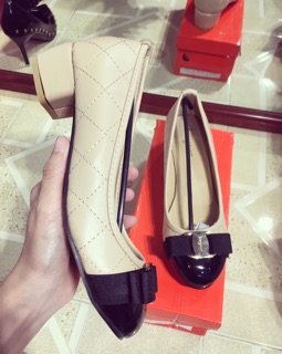 Salvatore gót 3 phân phối màu