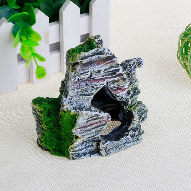 Hang đá sống động dùng trang trí bể cá
