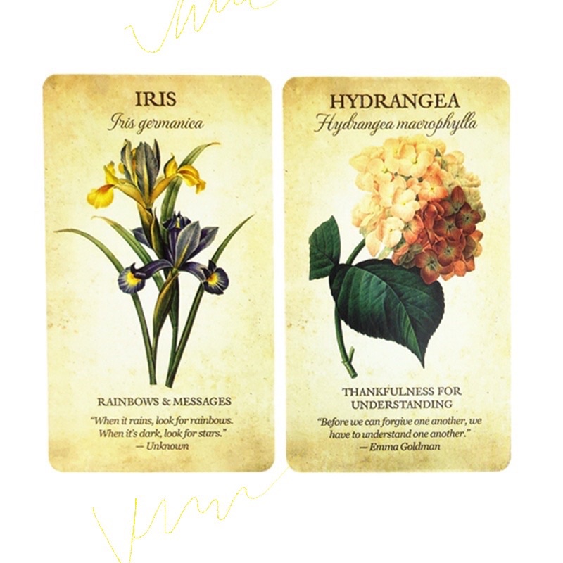 Bộ bài Oracle Botanical Inspirations 45 lá, tác giả Lynn Araujo