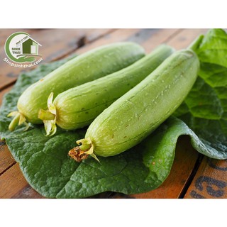 Hạt giống mướp hương