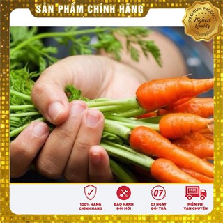 Hạt Giống Cà Rốt Mini(100 hạt)
