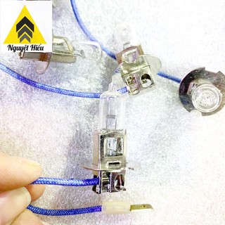 Bóng đèn Halogen cho oto 24v 70w