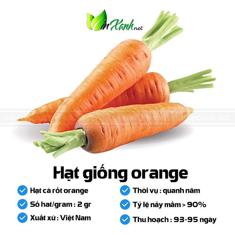 Hạt giống cà rốt- giống Công ty Tuyển chọn cho năng suất cao sinh trưởng khỏe NGUYÊN GÓI