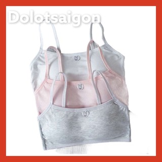 Combo 5 áo lá học sinh cấp 2,3