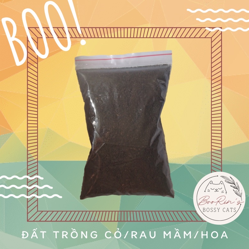 Đất Trồng Cỏ Mèo (Lúa mạch/ Wheat grass)/ Đất trồng rau mầm