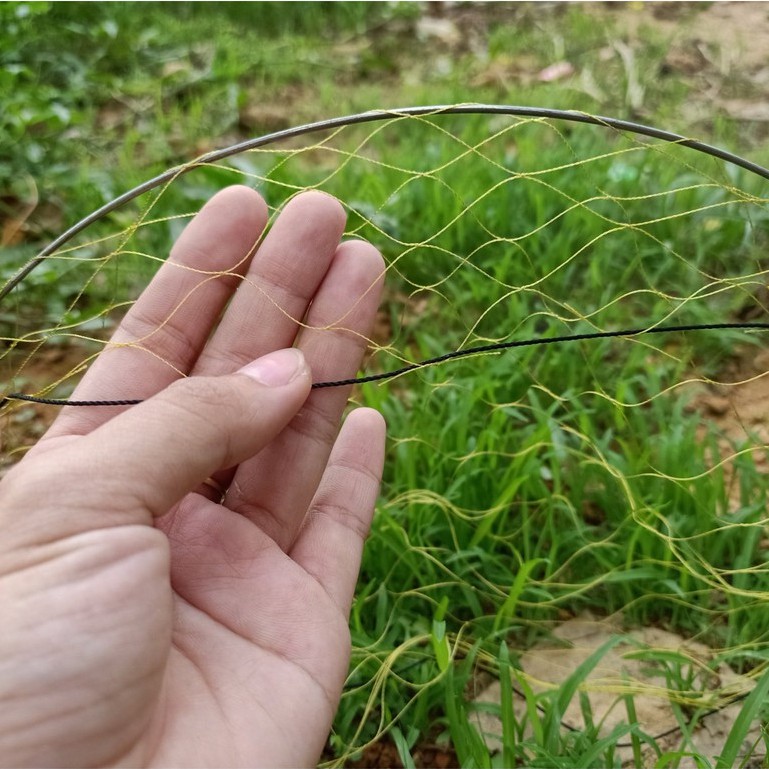 Cung bẫy chim cút siêu hiệu quả