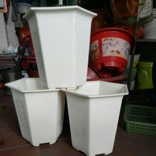 chậu ống lục giác (28cm*31cm)