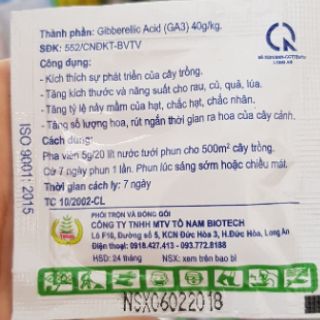 Viên Ga3 lớn trái