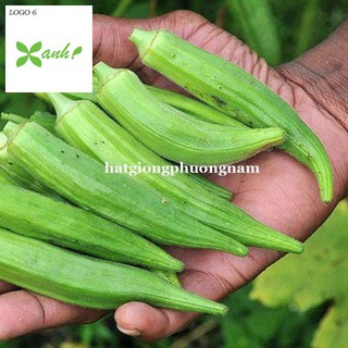 Hạt Giống Đậu Bắp Xanh 10 hạt
