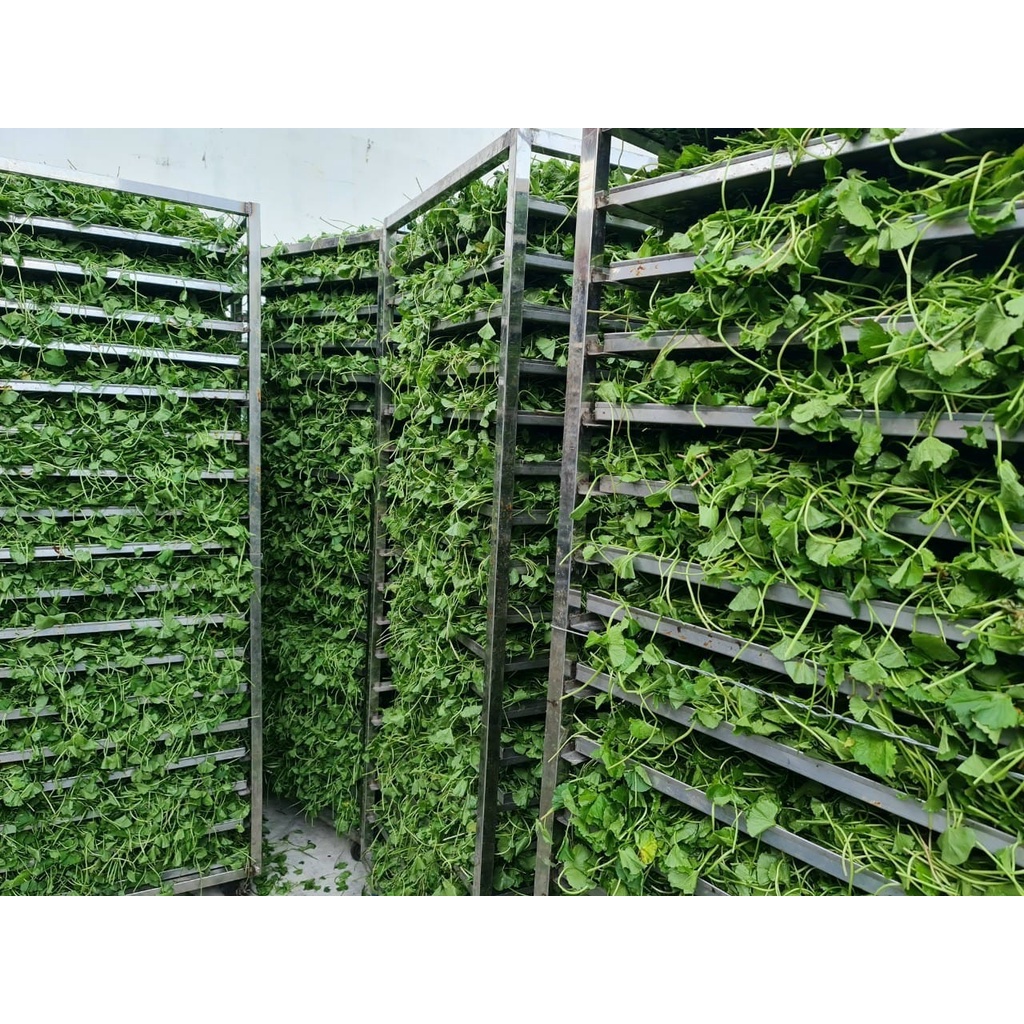 Bột rau má chuẩn nguyên chất mát gan đẹp da 500gr