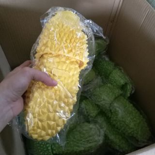 DÉP SẦU RIÊNG
