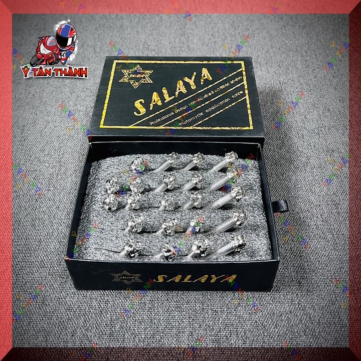 bộ ốc lốc máy salaya exciter 135 5 số 22 con MS3374